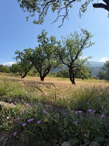 Finca/Casa Rural en Chite, Lecrín en venta - 89.000 € (Ref: 9822374)