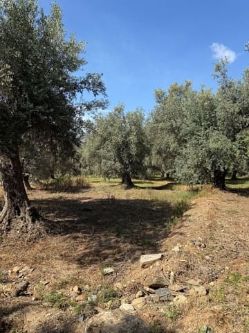 Finca/Casa Rural en Chite, Lecrín en venta - 168.000 € (Ref: 9822375)