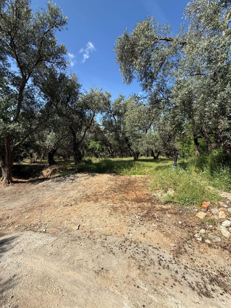 Finca/Casa Rural en Chite en venta - 168.000 € (Ref: 9822375)
