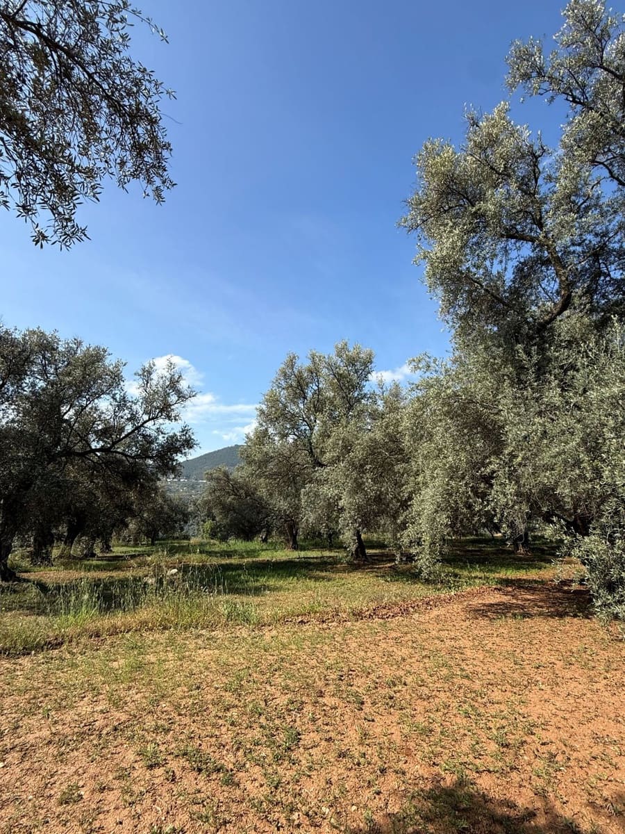Finca/Casa Rural en Chite en venta - 168.000 € (Ref: 9822375)