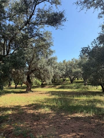 Finca/Casa Rural en Chite, Lecrín en venta - 168.000 € (Ref: 9822375)