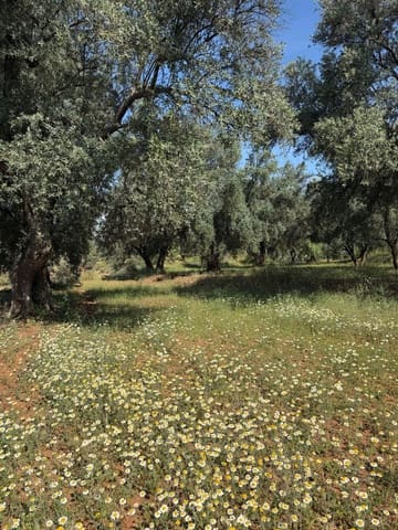 Finca/Casa Rural en Chite, Lecrín en venta - 168.000 € (Ref: 9822375)