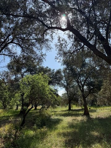 Finca/Casa Rural en Chite, Lecrín en venta - 260.000 € (Ref: 9822376)