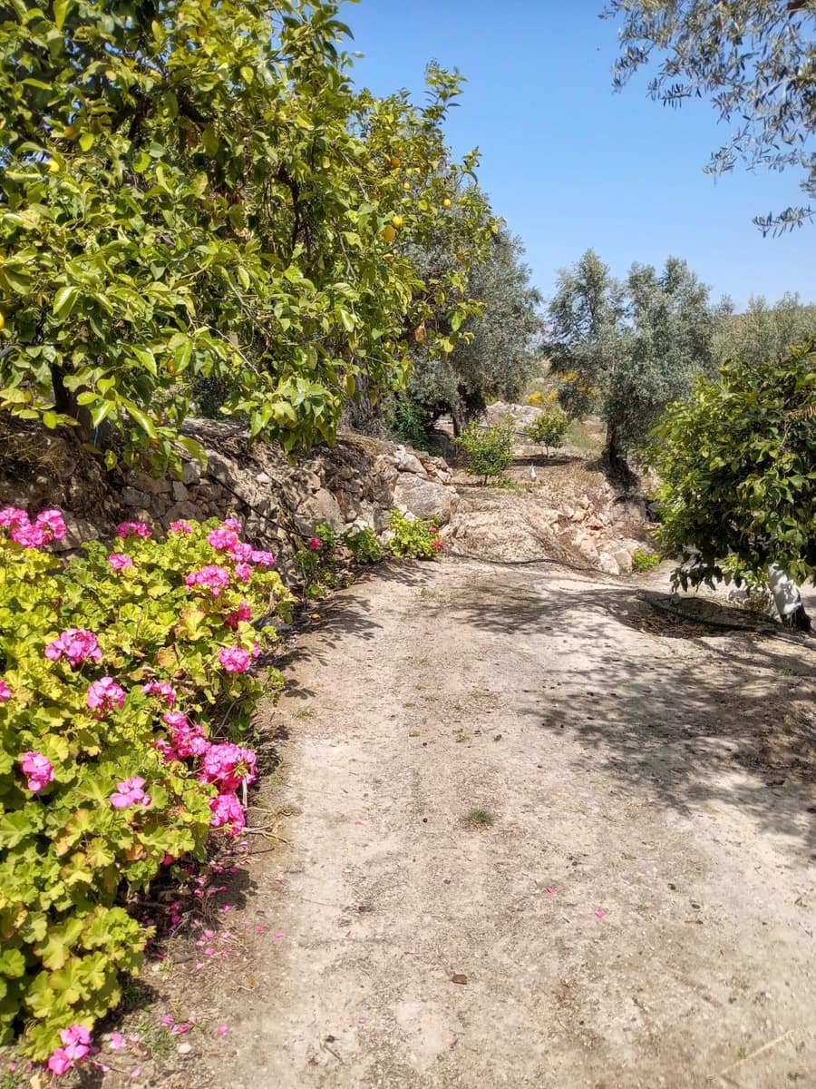 Quinta/Casa Rural para venda em Pinos del Valle - 70 000 € (Ref: 9830881)