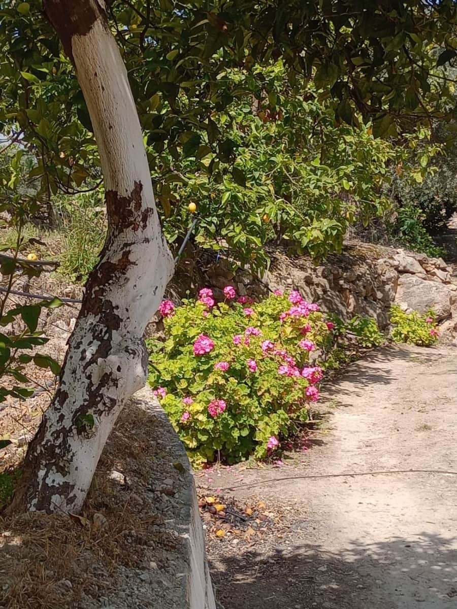 Quinta/Casa Rural para venda em Pinos del Valle - 70 000 € (Ref: 9830881)