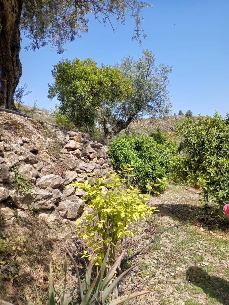 Quinta/Casa Rural para venda em Pinos del Valle - 70 000 € (Ref: 9830881)