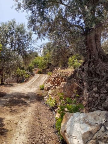 Quinta/Casa Rural para venda em Pinos del Valle, El Pinar - 70 000 € (Ref: 9830881)