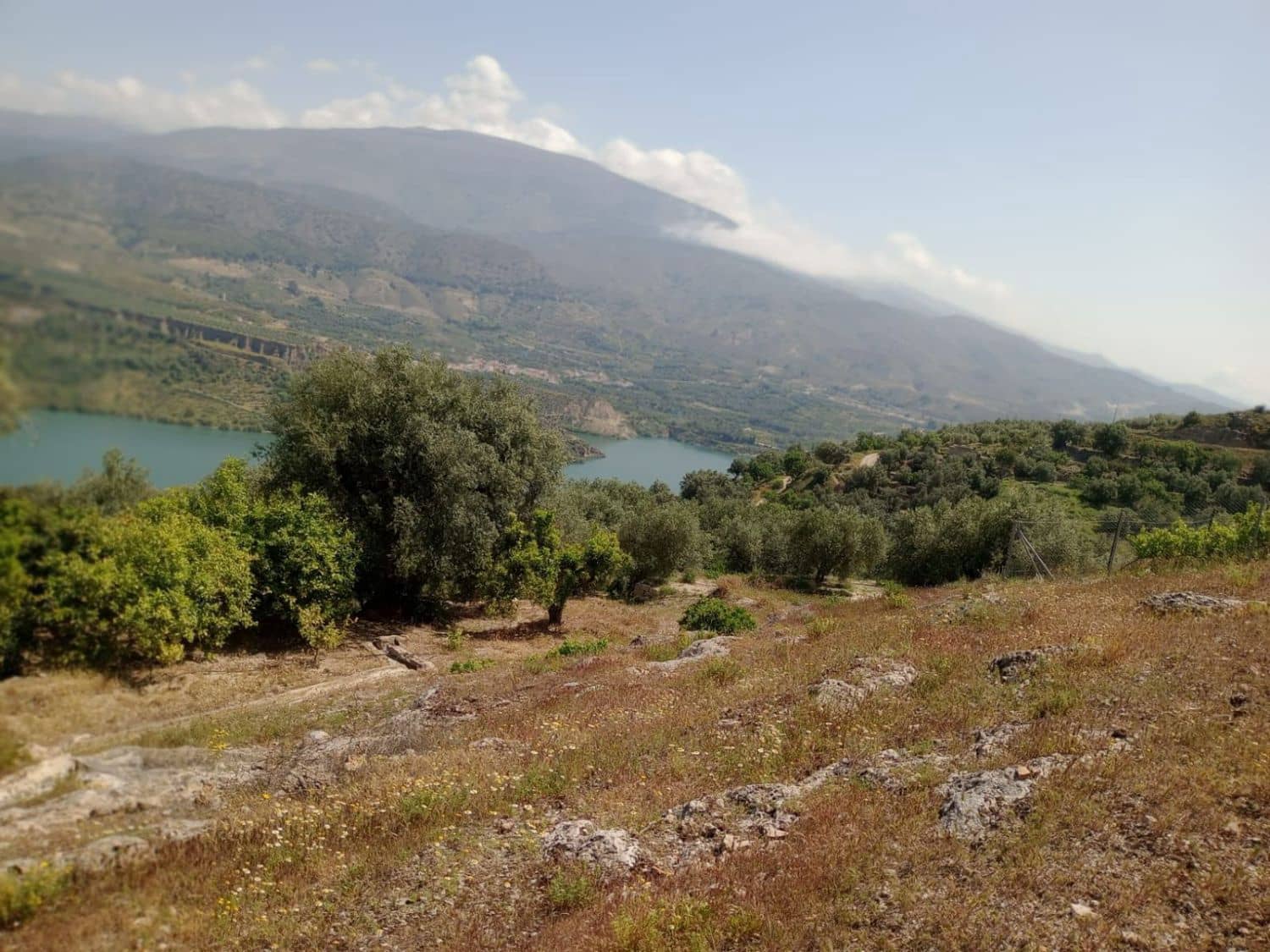 Quinta/Casa Rural para venda em Pinos del Valle - 70 000 € (Ref: 9830881)