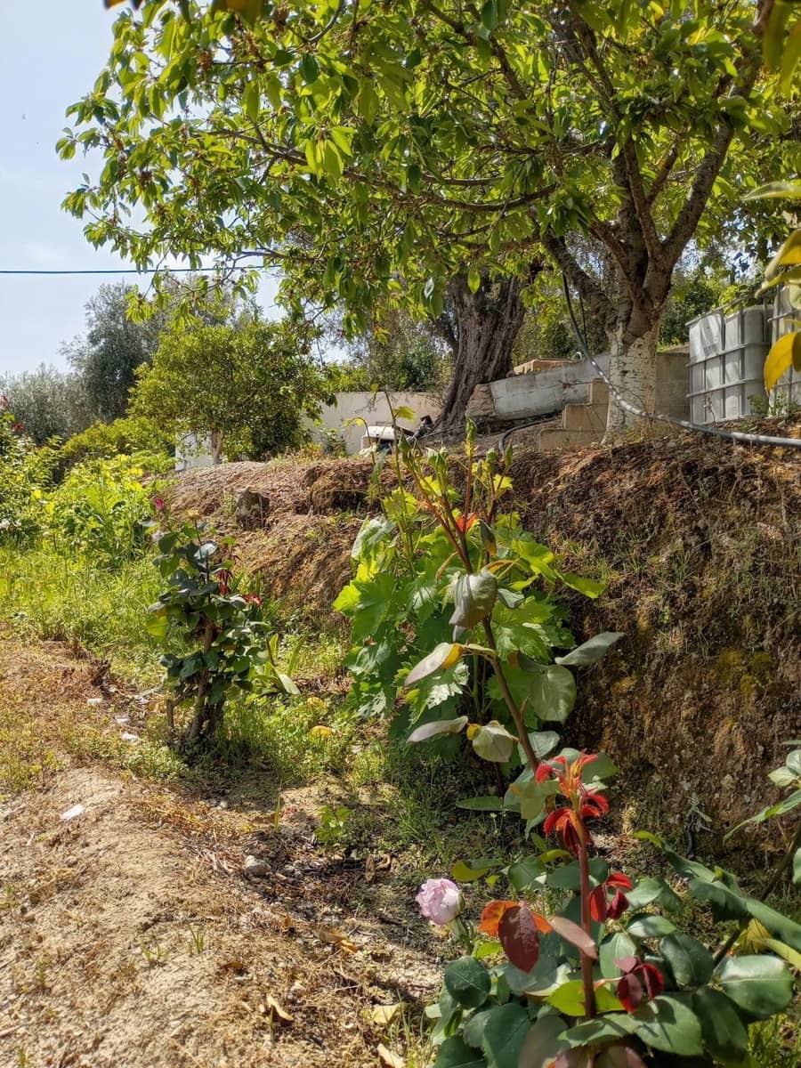 Quinta/Casa Rural para venda em Pinos del Valle - 70 000 € (Ref: 9830881)