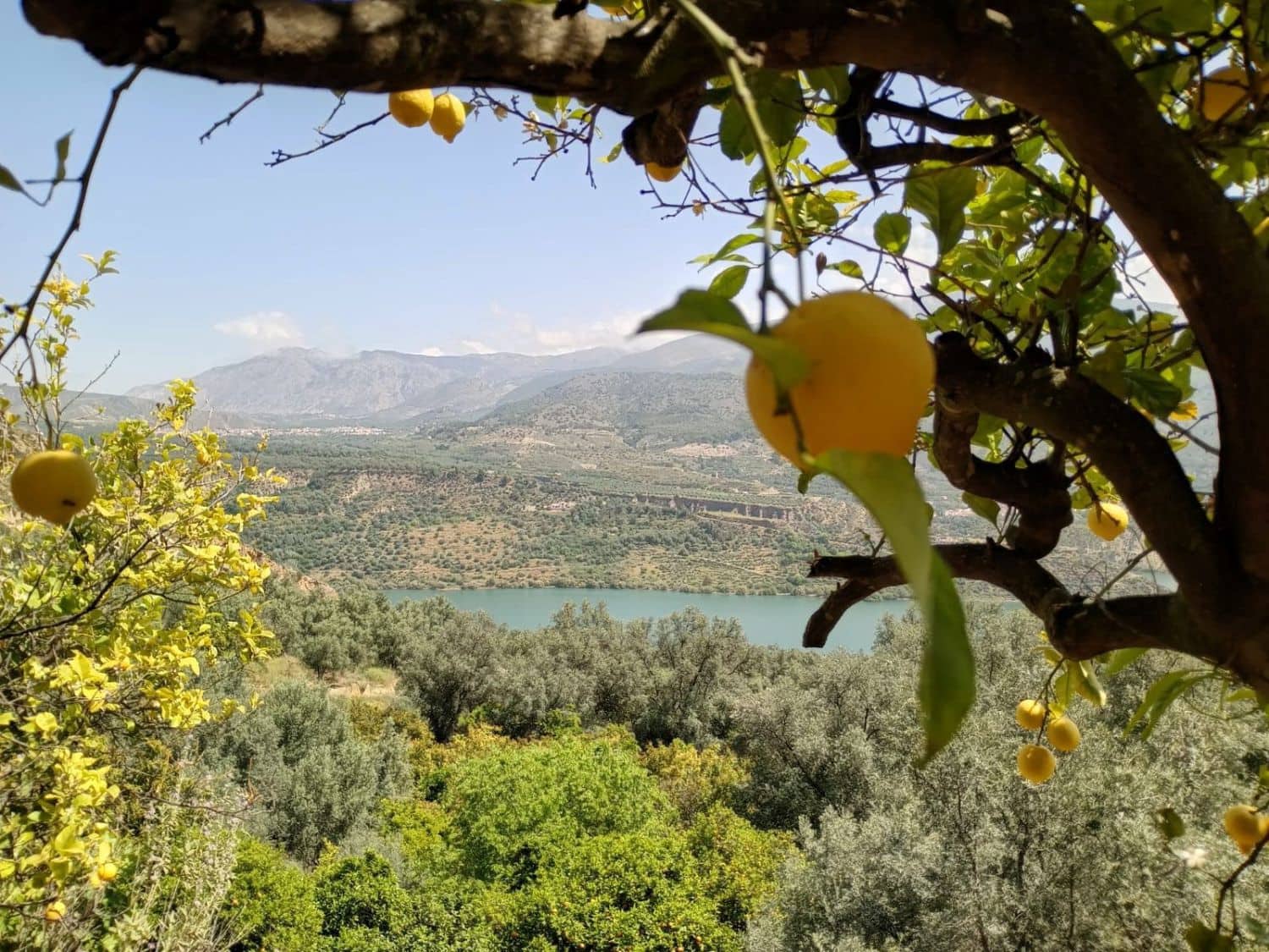 Quinta/Casa Rural para venda em Pinos del Valle - 70 000 € (Ref: 9830881)