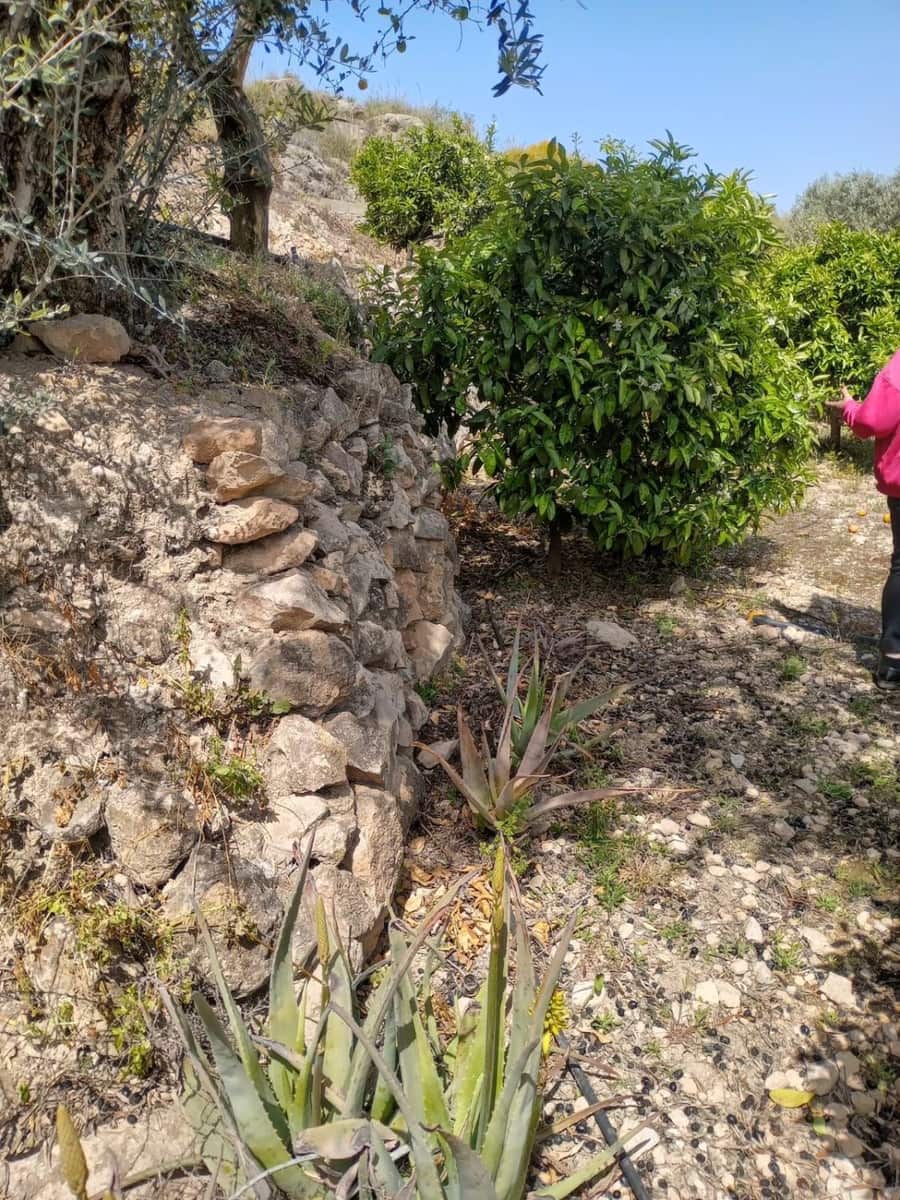 Quinta/Casa Rural para venda em Pinos del Valle - 70 000 € (Ref: 9830881)