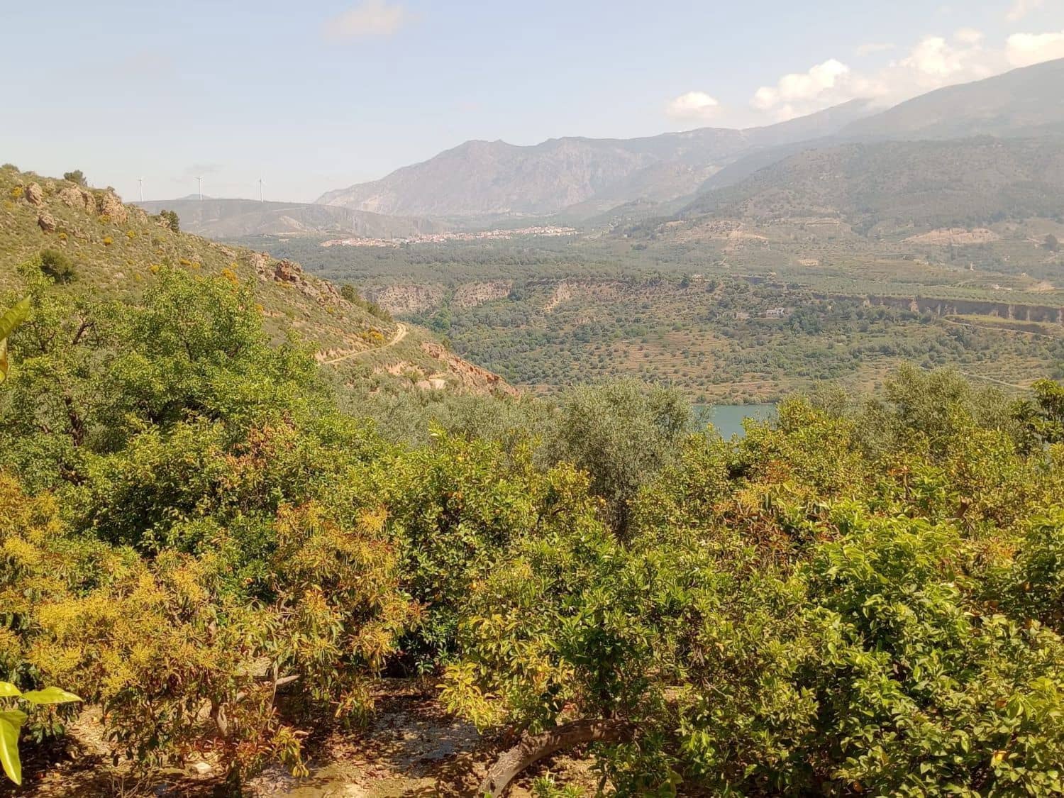 Quinta/Casa Rural para venda em Pinos del Valle - 70 000 € (Ref: 9830881)
