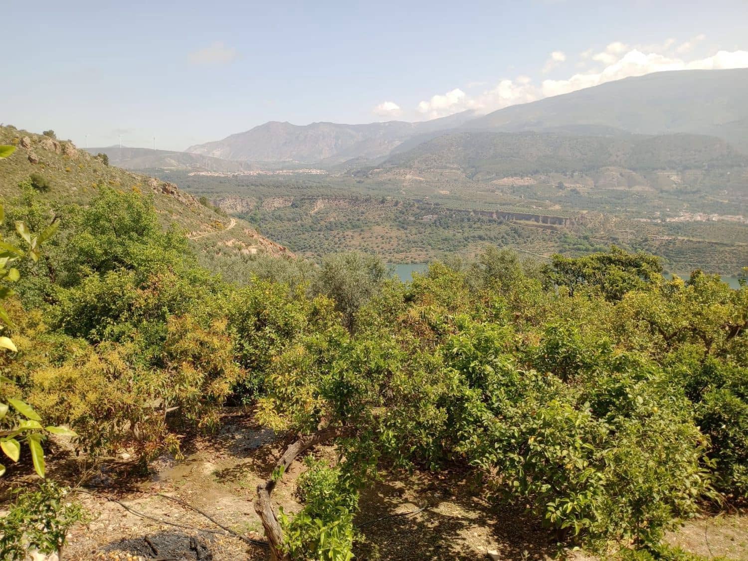 Quinta/Casa Rural para venda em Pinos del Valle - 70 000 € (Ref: 9830881)