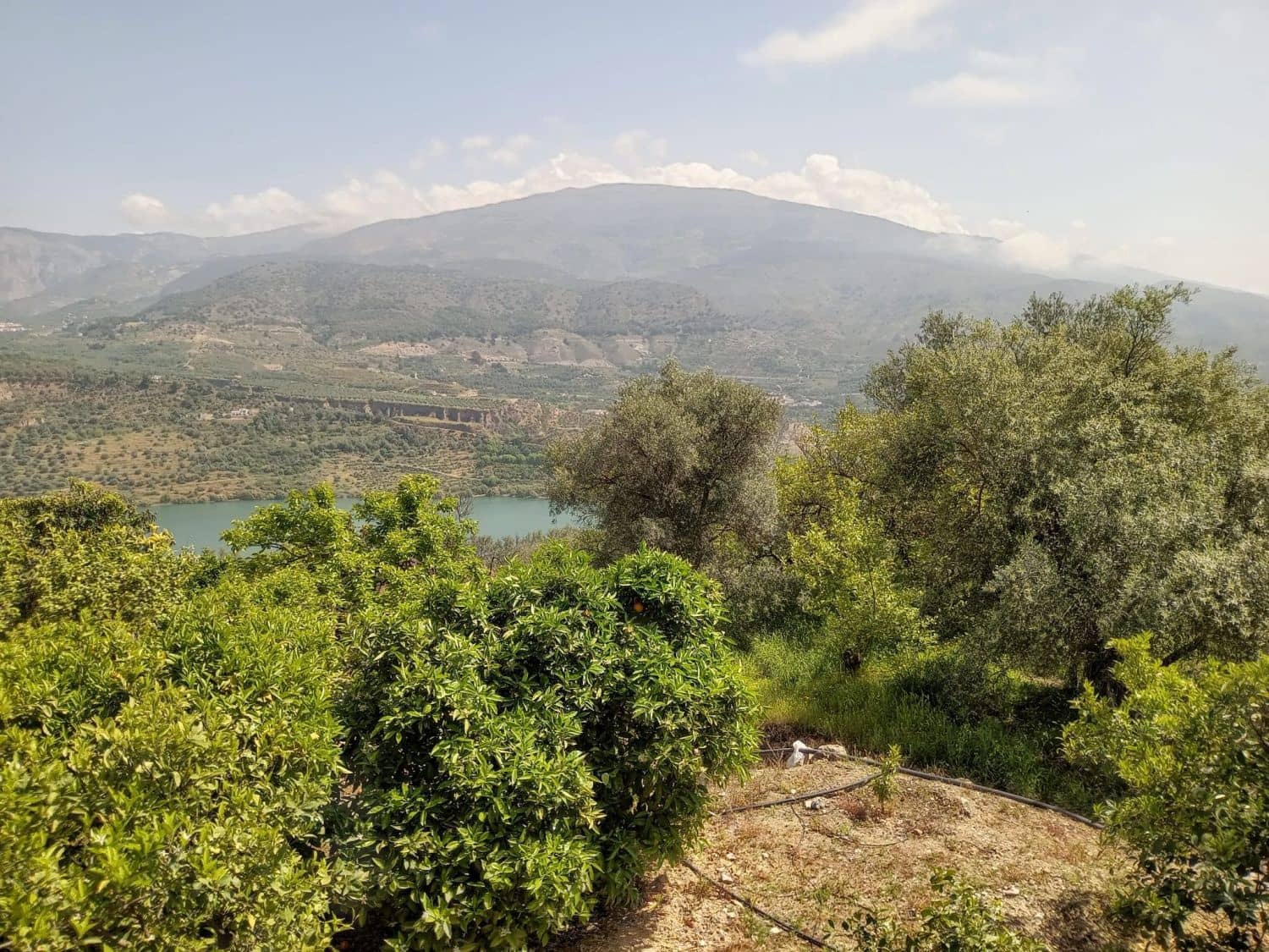 Quinta/Casa Rural para venda em Pinos del Valle - 70 000 € (Ref: 9830881)