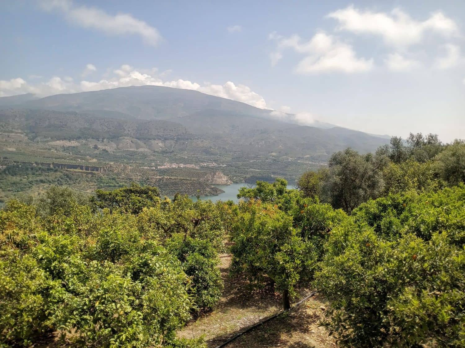 Quinta/Casa Rural para venda em Pinos del Valle - 70 000 € (Ref: 9830881)