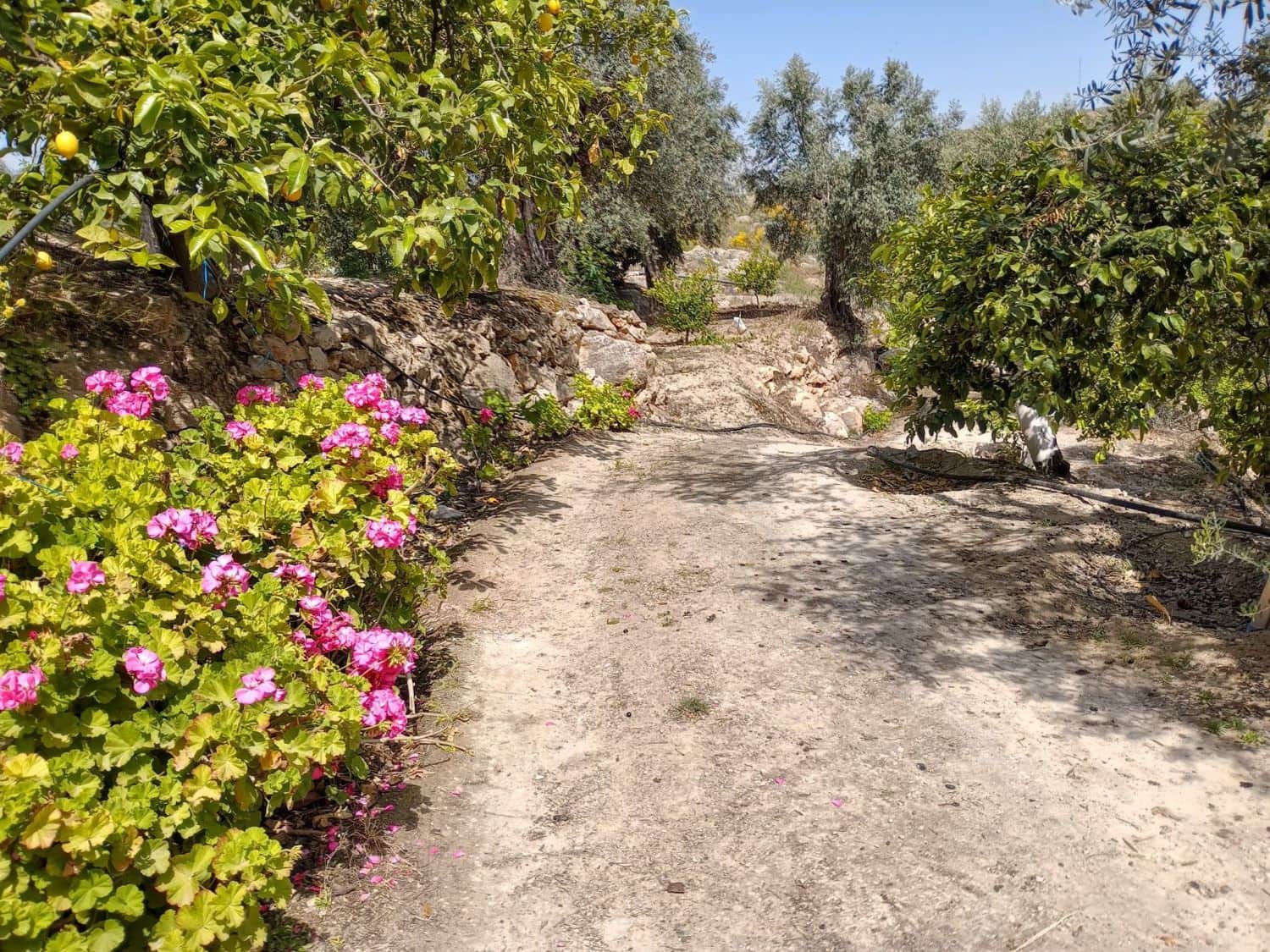Quinta/Casa Rural para venda em Pinos del Valle - 70 000 € (Ref: 9830881)