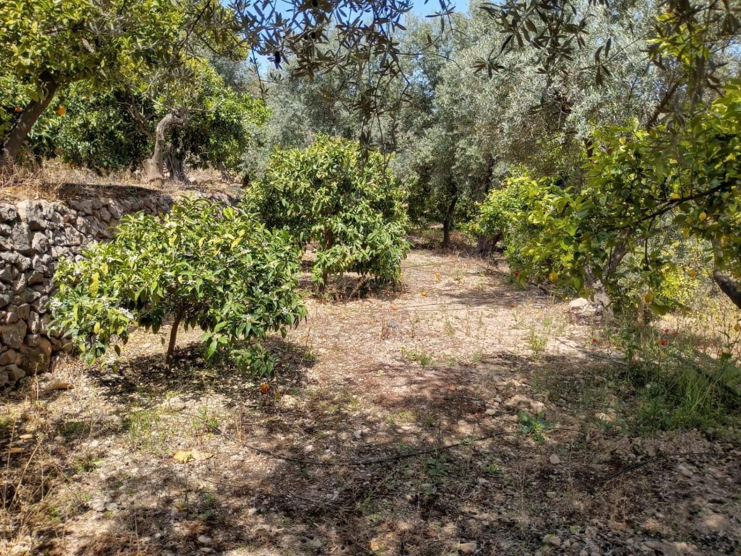 Quinta/Casa Rural para venda em Pinos del Valle - 70 000 € (Ref: 9830881)