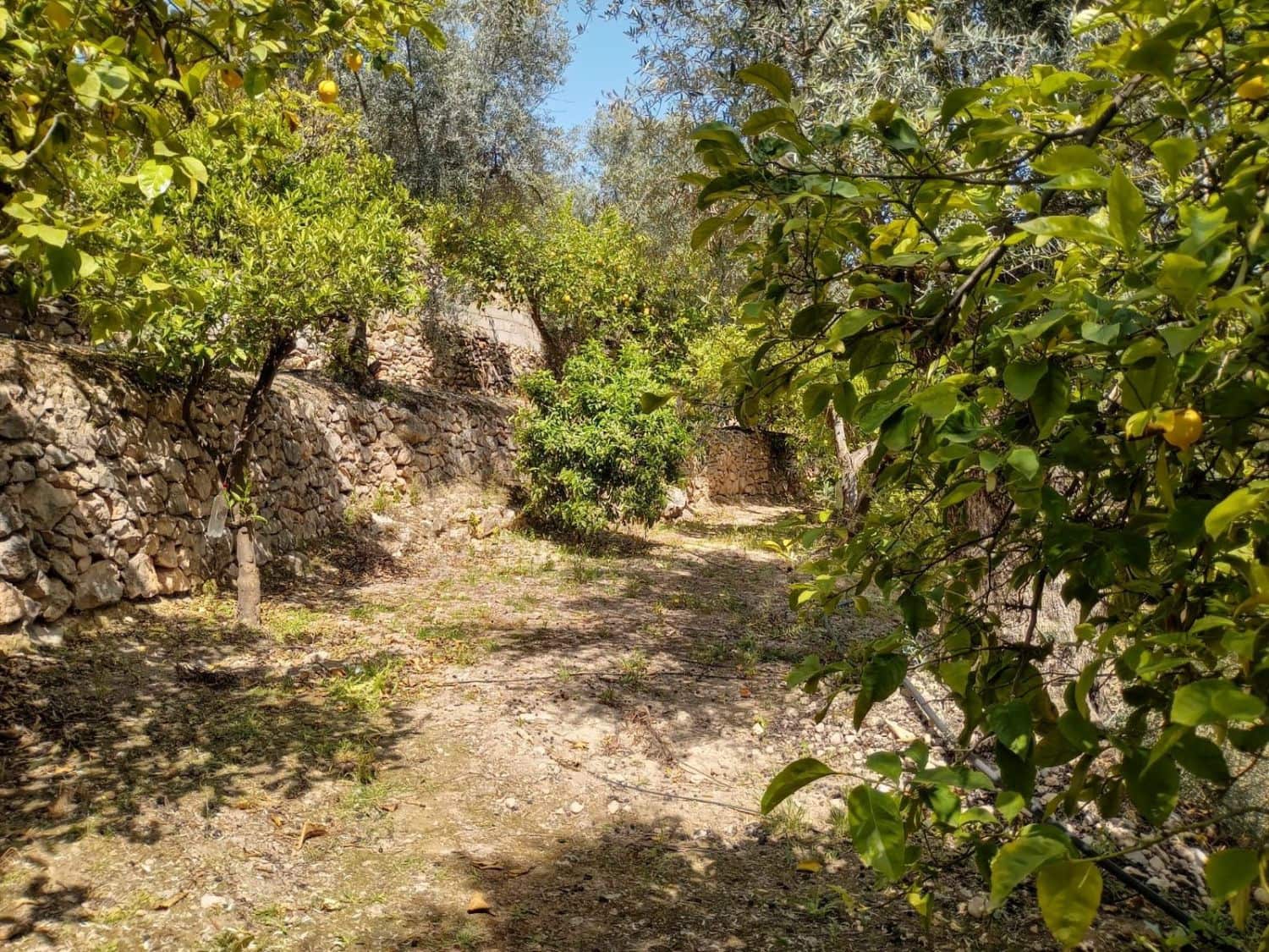 Quinta/Casa Rural para venda em Pinos del Valle - 70 000 € (Ref: 9830881)