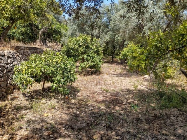 Quinta/Casa Rural para venda em Pinos del Valle, El Pinar - 70 000 € (Ref: 9830881)