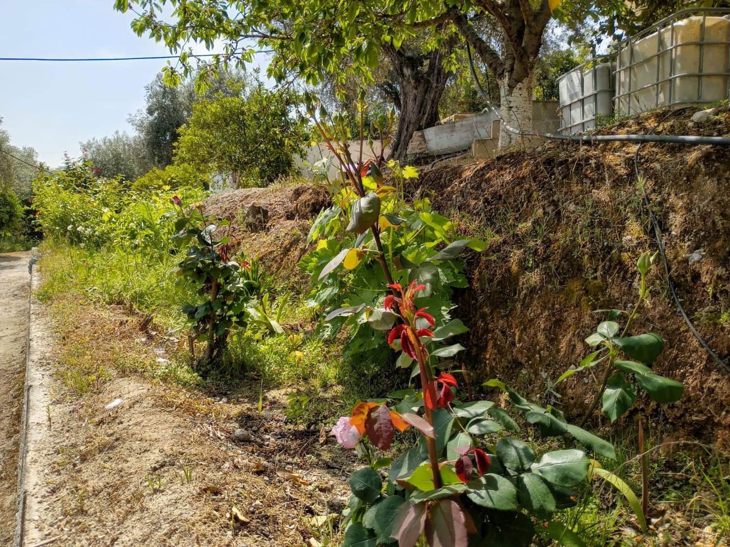 Quinta/Casa Rural para venda em Pinos del Valle - 70 000 € (Ref: 9830881)