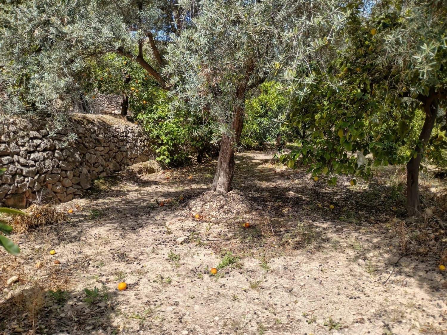Quinta/Casa Rural para venda em Pinos del Valle - 70 000 € (Ref: 9830881)