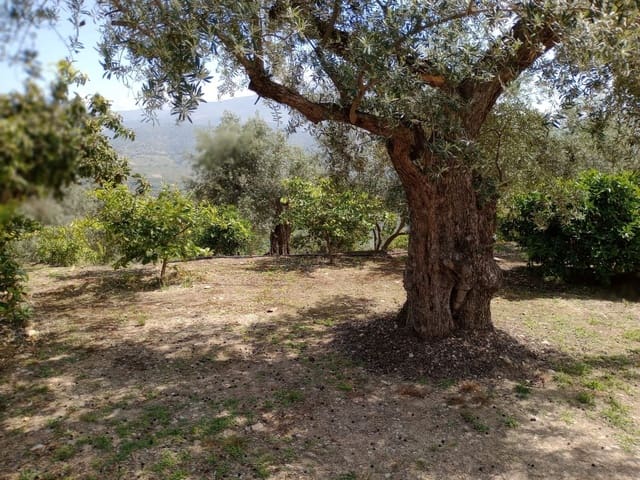 Quinta/Casa Rural para venda em Pinos del Valle, El Pinar - 70 000 € (Ref: 9830881)