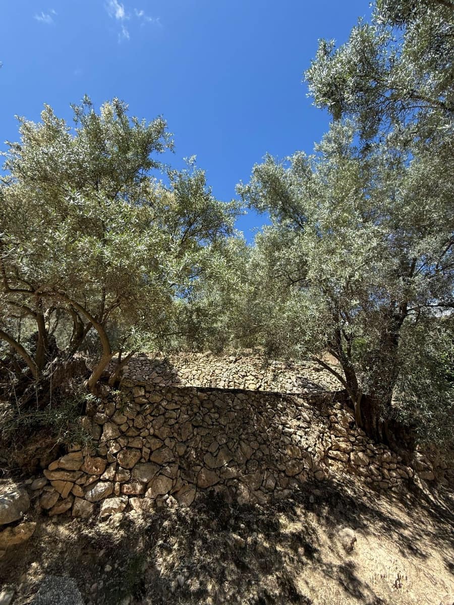 Quinta/Casa Rural para venda em Pinos del Valle - 45 000 € (Ref: 9830882)
