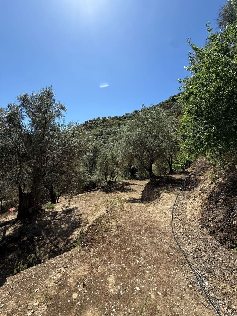 Quinta/Casa Rural para venda em Pinos del Valle - 45 000 € (Ref: 9830882)