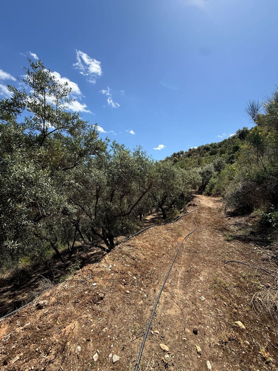 Quinta/Casa Rural para venda em Pinos del Valle - 45 000 € (Ref: 9830882)