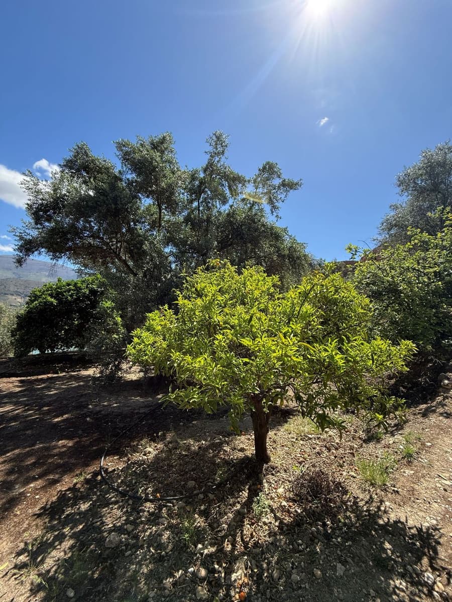Quinta/Casa Rural para venda em Pinos del Valle - 45 000 € (Ref: 9830882)