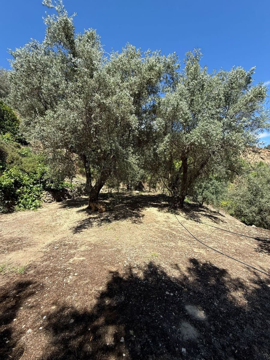 Quinta/Casa Rural para venda em Pinos del Valle - 45 000 € (Ref: 9830882)