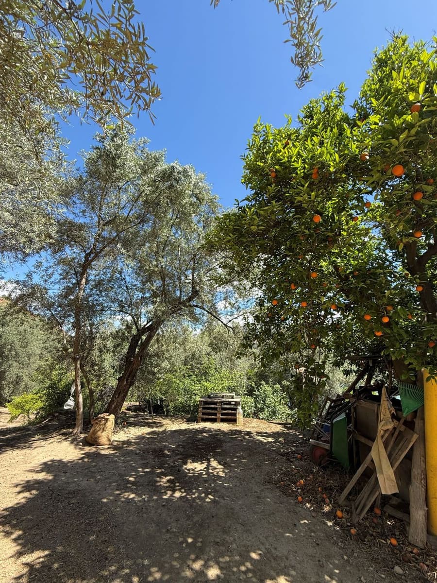 Quinta/Casa Rural para venda em Pinos del Valle - 45 000 € (Ref: 9830882)