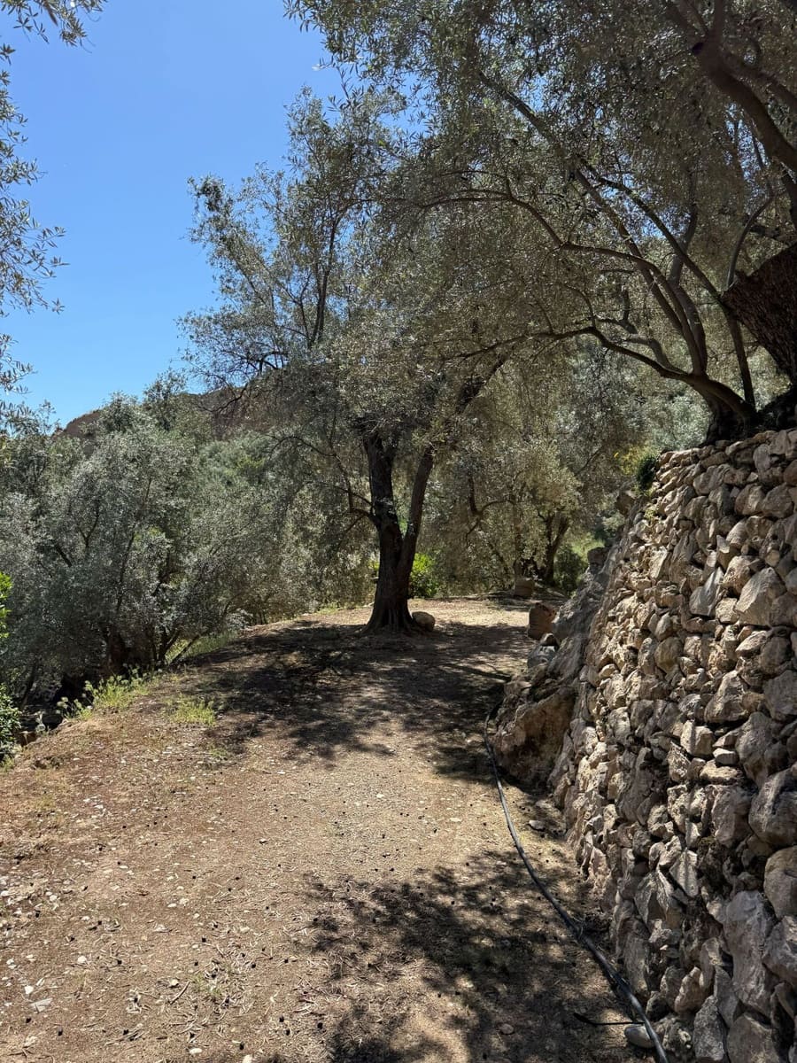 Quinta/Casa Rural para venda em Pinos del Valle - 45 000 € (Ref: 9830882)