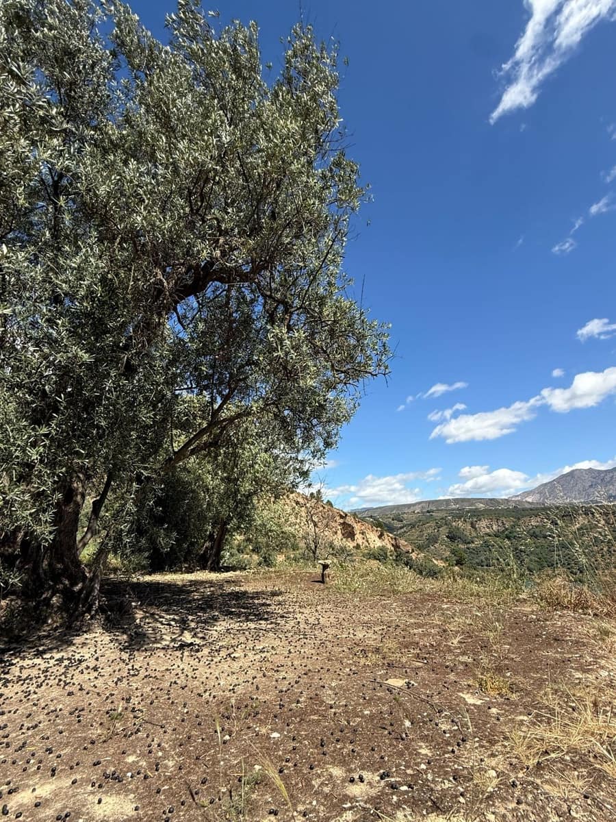 Quinta/Casa Rural para venda em Pinos del Valle - 45 000 € (Ref: 9830882)