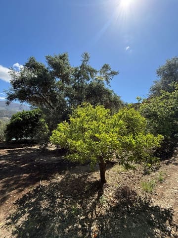 Quinta/Casa Rural para venda em Pinos del Valle, El Pinar - 45 000 € (Ref: 9830882)