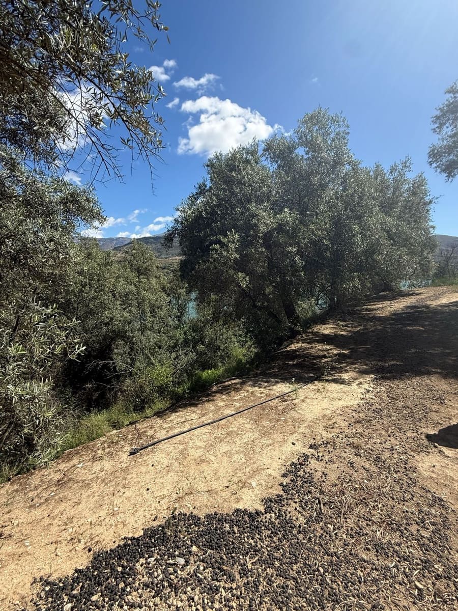 Quinta/Casa Rural para venda em Pinos del Valle - 45 000 € (Ref: 9830882)