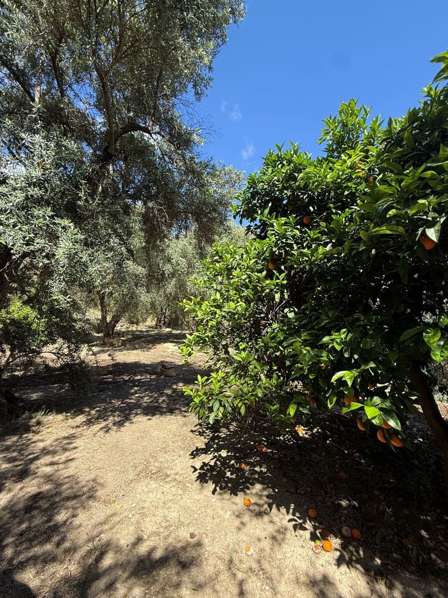 Quinta/Casa Rural para venda em Pinos del Valle - 45 000 € (Ref: 9830882)