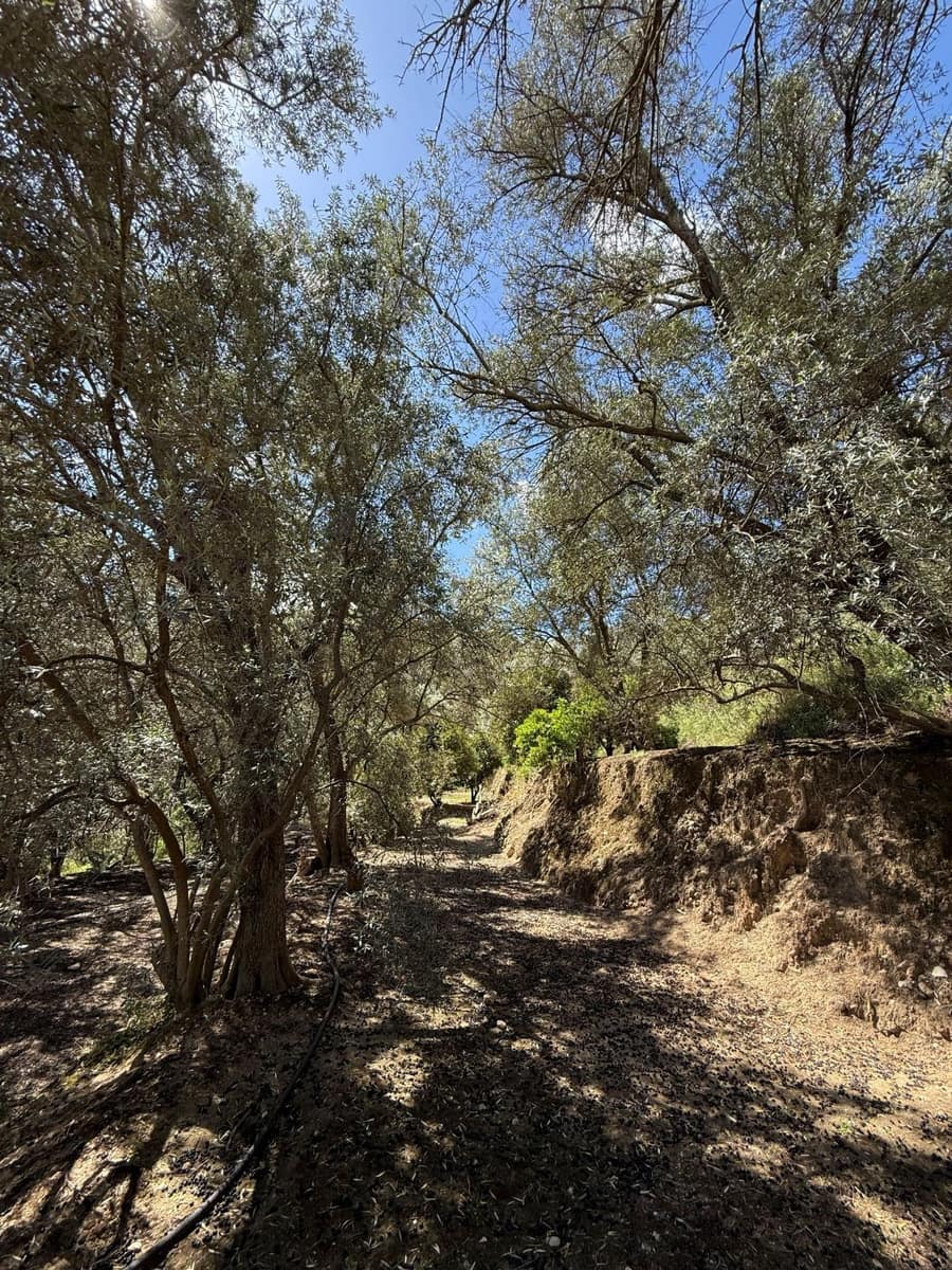 Quinta/Casa Rural para venda em Pinos del Valle - 45 000 € (Ref: 9830882)