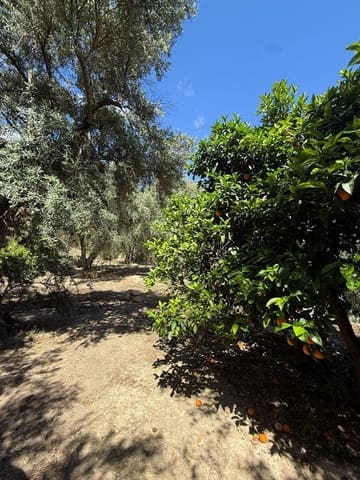 Quinta/Casa Rural para venda em Pinos del Valle, El Pinar - 45 000 € (Ref: 9830882)