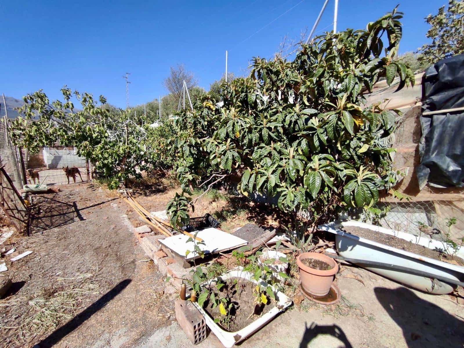 5 soveværelse Byhus til salg i Abla med garage - € 85.000 (Ref: 8523112)