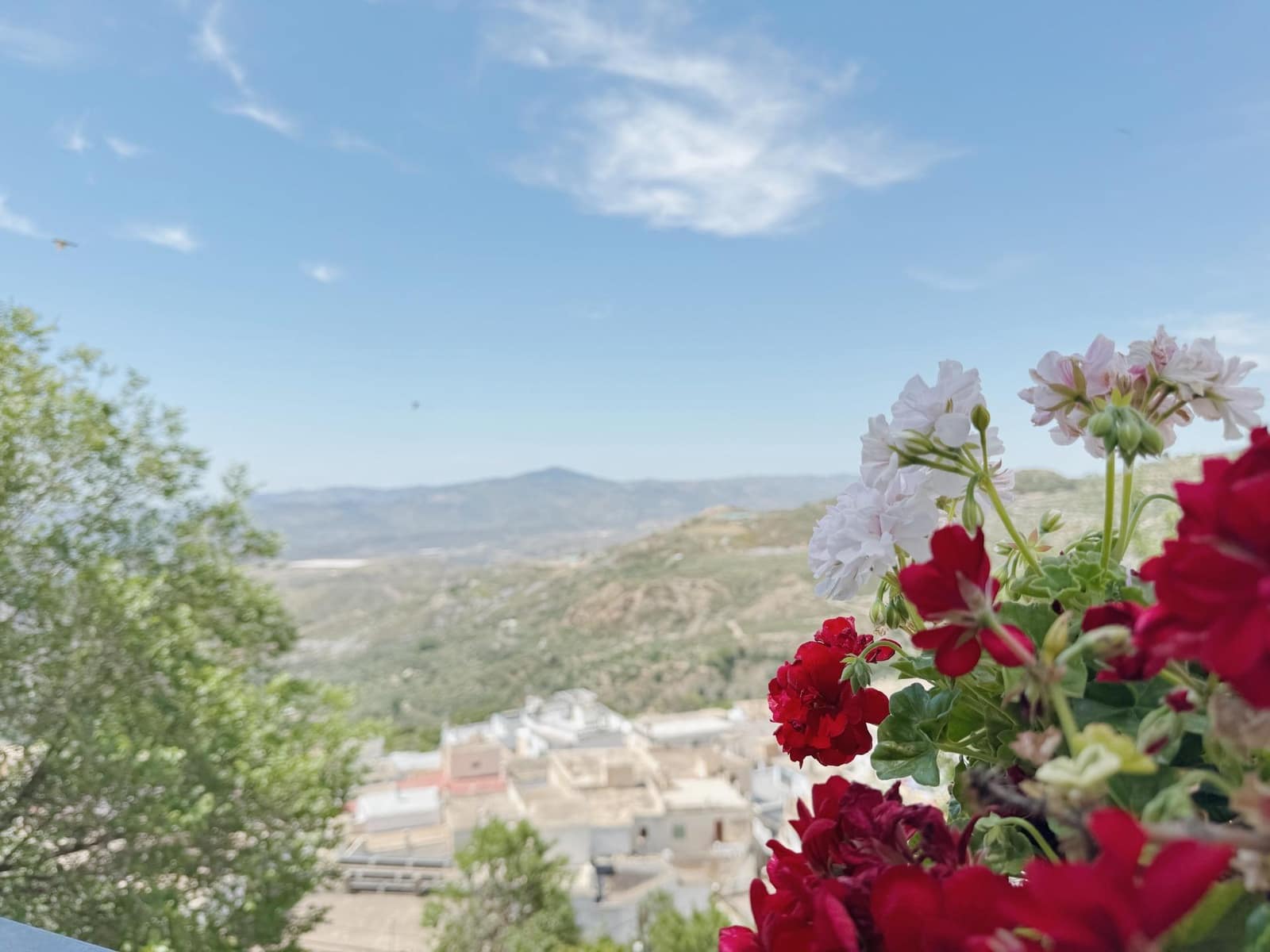 7 soveværelse Villa til salg i Laroles med swimmingpool - € 250.000 (Ref: 9020600)