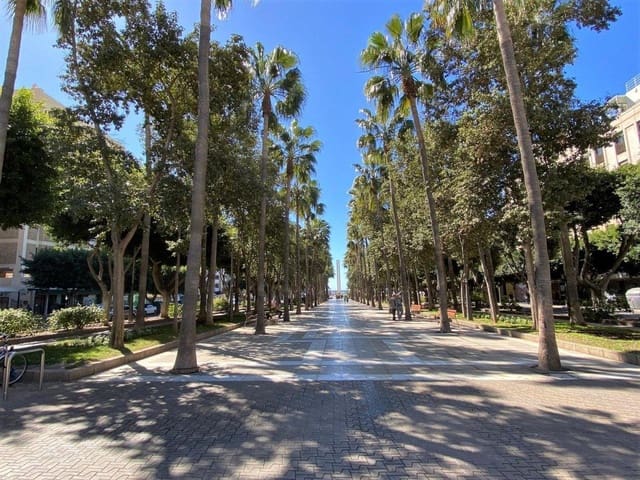 4 bedroom Flat for rent in Centro, Almería city - € 1,200 (Ref: 9822712)