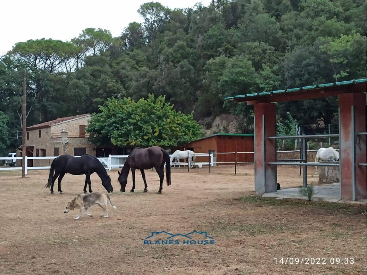 5 soveværelse Finca/Landehus til salg i Fogars de la Selva med garage - € 395.000 (Ref: 7123134)