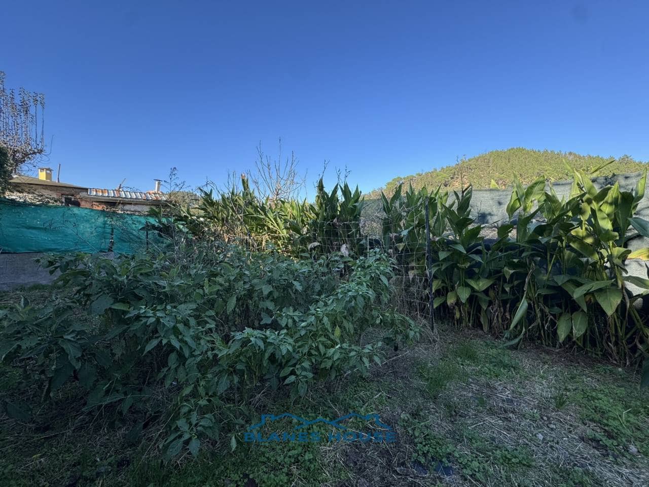 4 soveværelse Villa til salg i Massanes med swimmingpool garage - € 170.000 (Ref: 8669566)