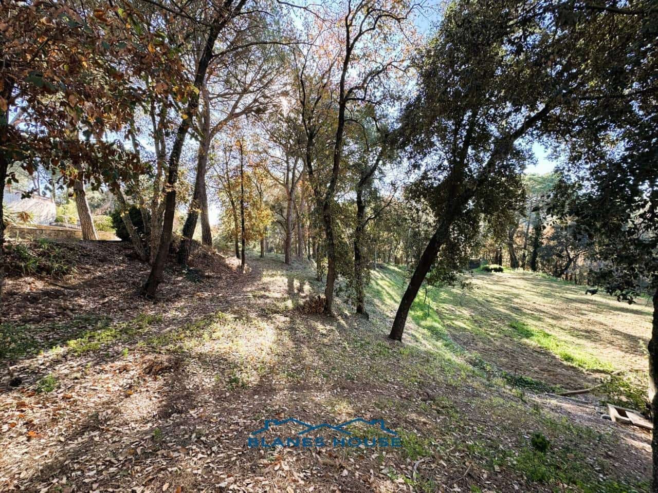 9 soveværelse Finca/Landehus til salg i Sant Feliu de Buixalleu med swimmingpool garage - € 1.250.000 (Ref: 8757232)