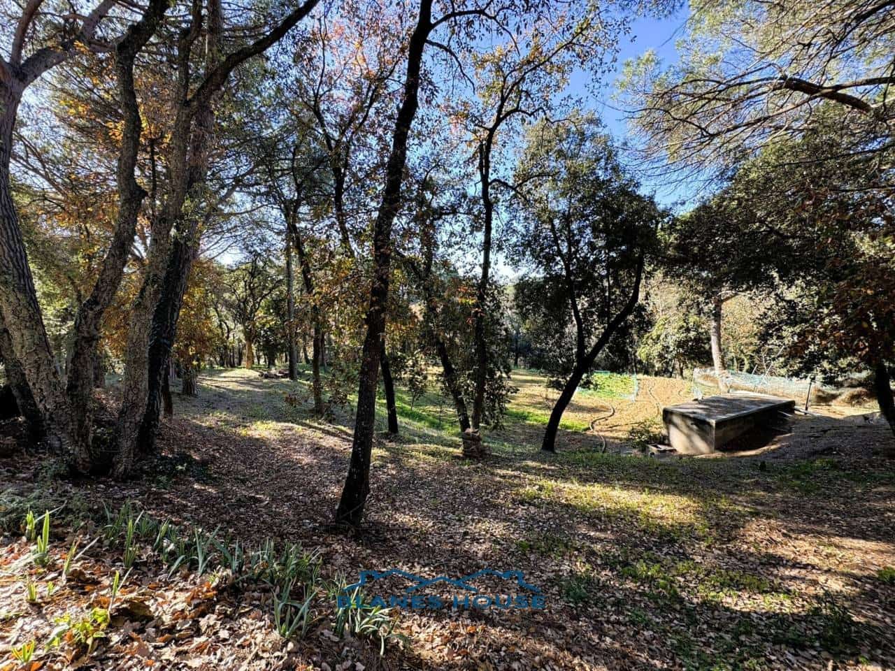 9 soveværelse Finca/Landehus til salg i Sant Feliu de Buixalleu med swimmingpool garage - € 1.250.000 (Ref: 8757232)