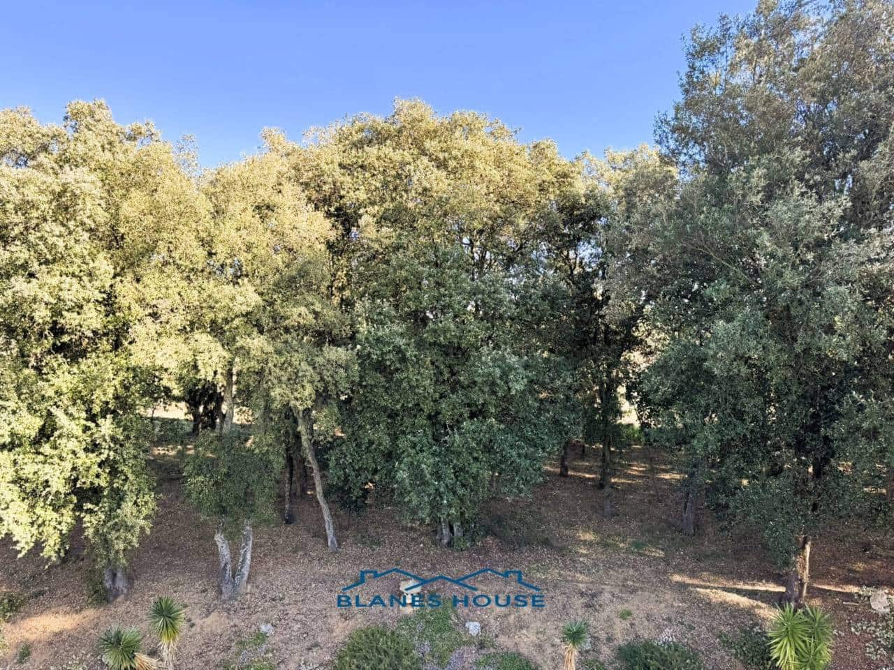 9 soveværelse Finca/Landehus til salg i Sant Feliu de Buixalleu med swimmingpool garage - € 1.250.000 (Ref: 8757232)