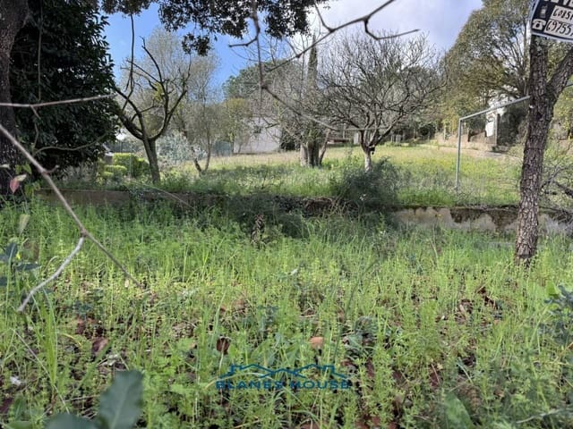 Finca/Landehus til salg i Maçanet de la Selva - € 77.000 (Ref: 8991922)