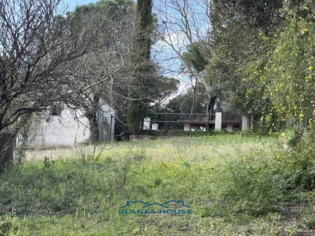 Finca/Landehus til salg i Maçanet de la Selva - € 77.000 (Ref: 8991922)