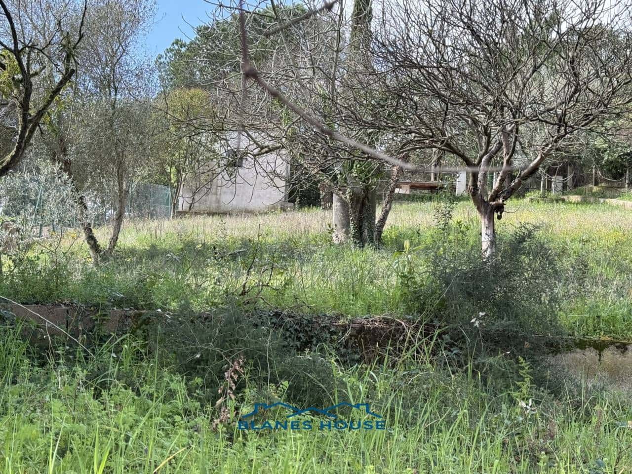 Finca/Landehus til salg i Macanet de la Selva - € 77.000 (Ref: 8991922)